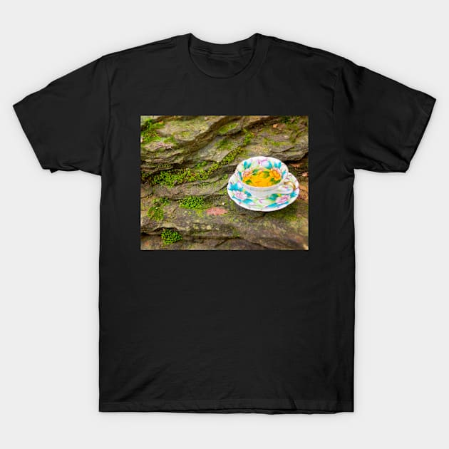 Tea On the Rocks T-Shirt by ncmckinney